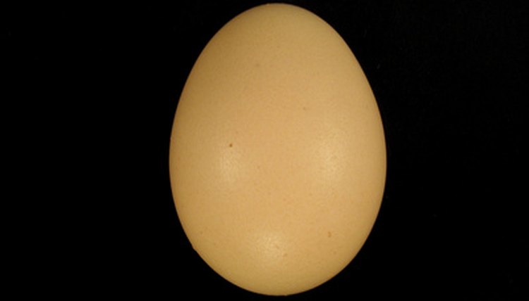 egg image by Eldin Muratovic from Fotolia.com