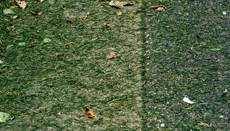 Grass clippings from a recently mowed lawn make a great material.