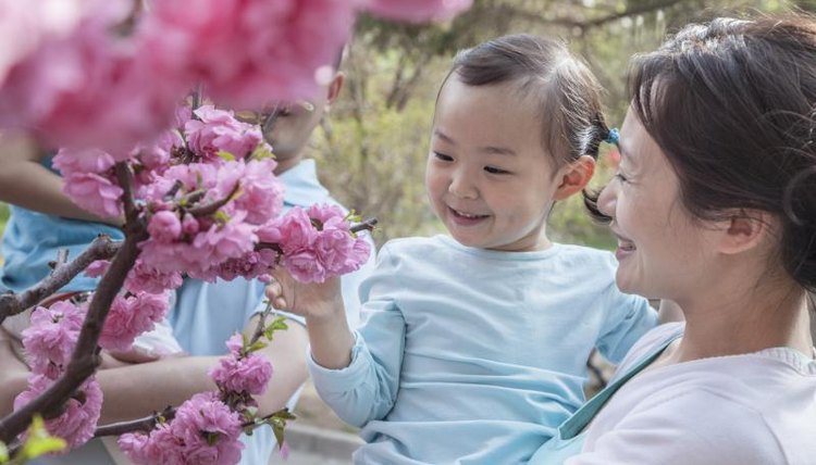 Mother showing child blossoms on tree