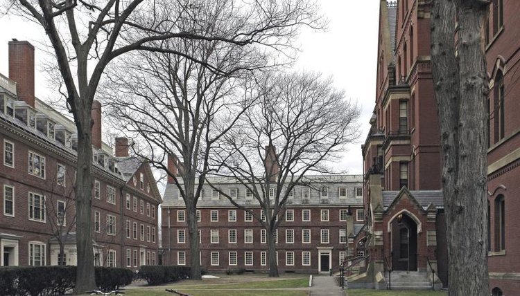 A quad on the Harvard University campus