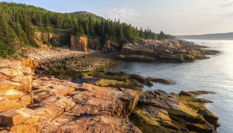 A cove in Arcadia National Park.