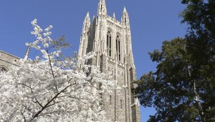 california for universities best surgeons in Heart  Colleges For Surgeon Top to Be a Synonym  Studying