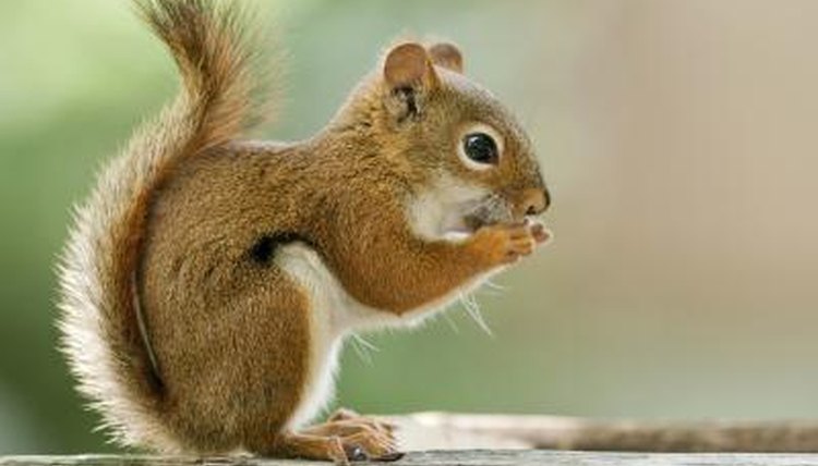 Gill André/iStock/Getty Images