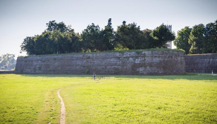 Medieval wall surrounding the town of Lucca