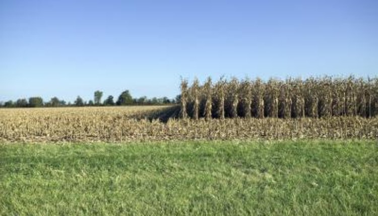 Missouri