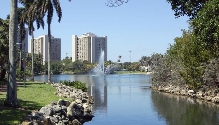 University of Miami campus.