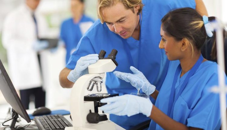 University students working in a lab