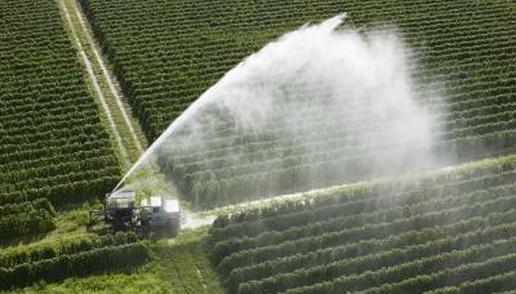 Finding a food source is the first concern