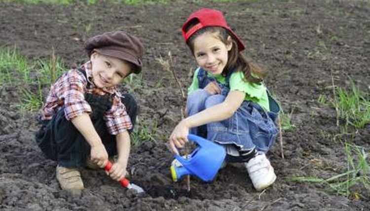 A school garden with two young students working in it