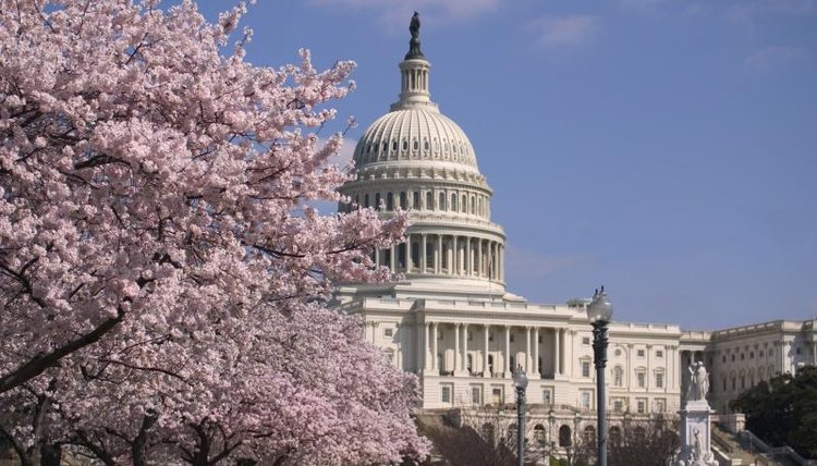 The capitol building.