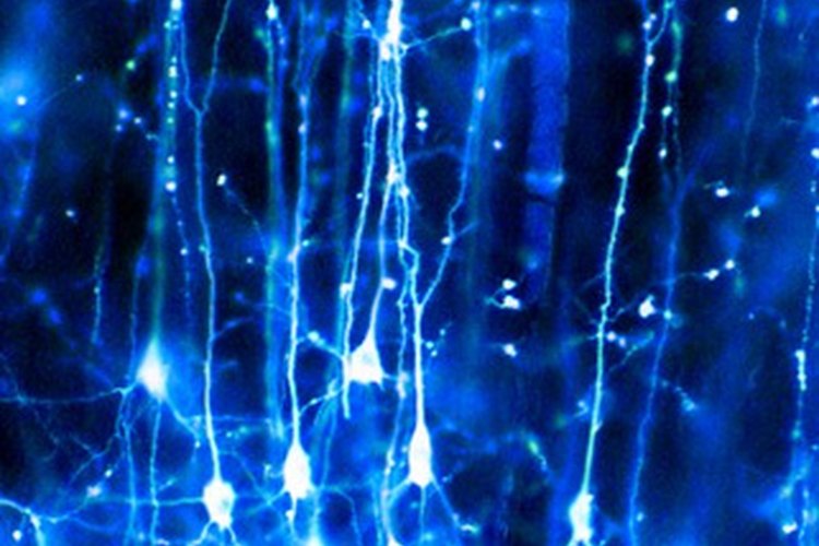 Ejercita tu cerebro para aumentar la creatividad.