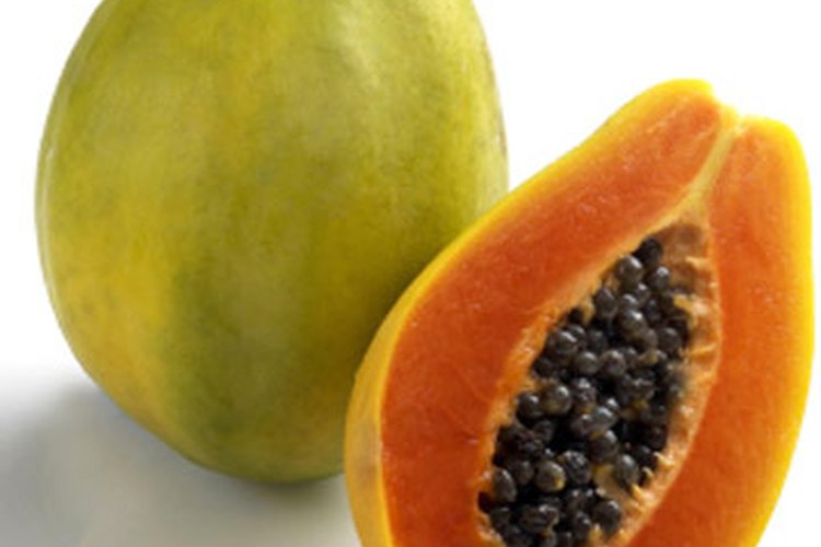 La papaya