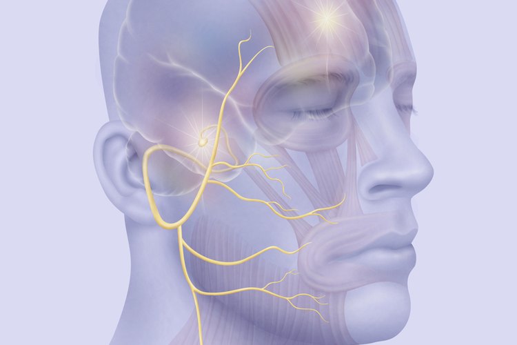 Existen ejercicios específicos para recuperarse de la parálisis facial.