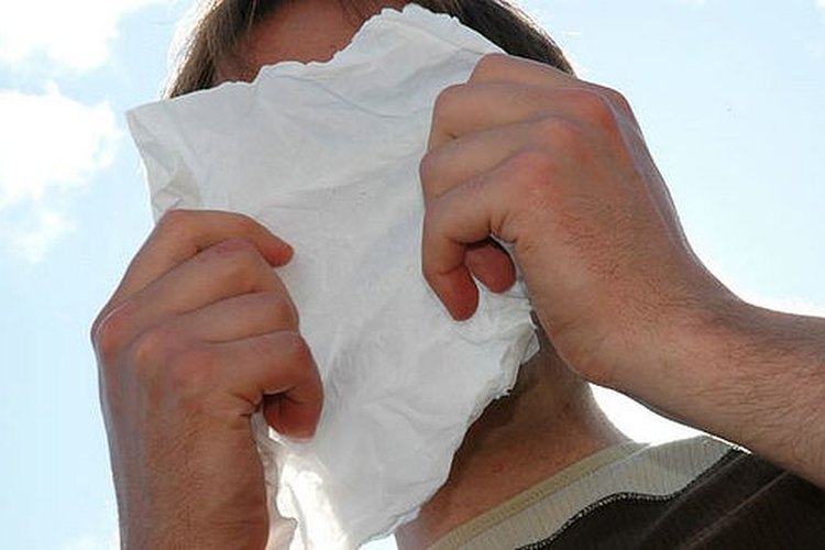 Moqueo nasal.