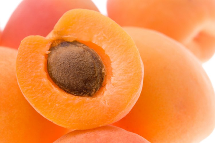 Las semillas de albaricoque son fuente de vitamina B-17.