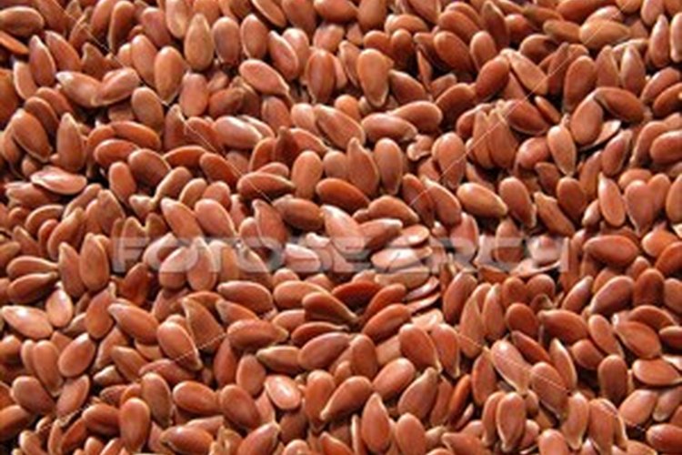 Moléculas de estrógeno.