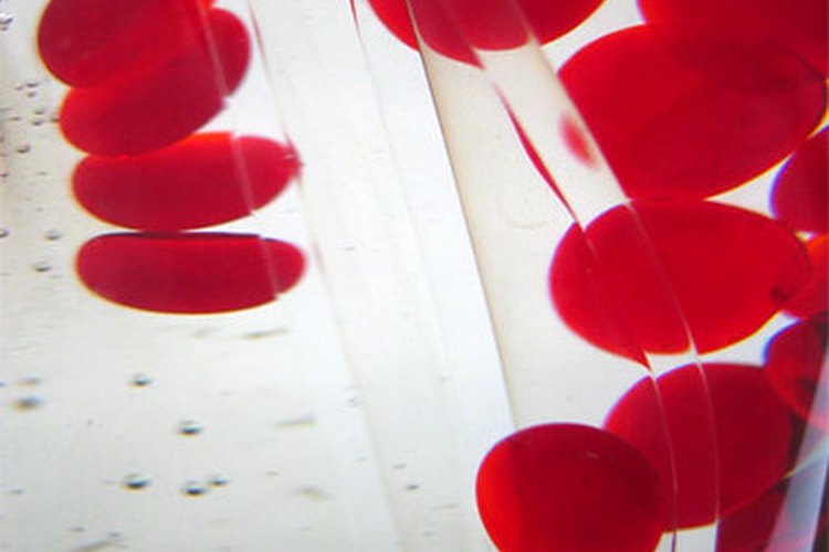 Glóbulos rojos