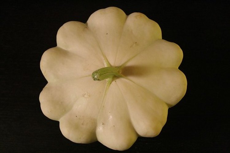 La calabaza Pattypan.
