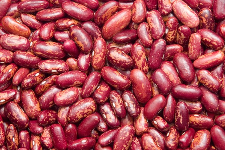 Los frijoles crudos saben mejor y contienen toxinas naturales.