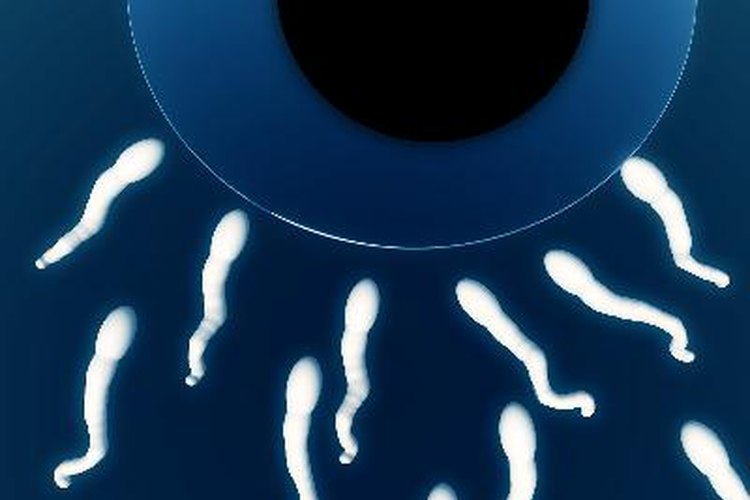 Cómo se recolecta el esperma.
