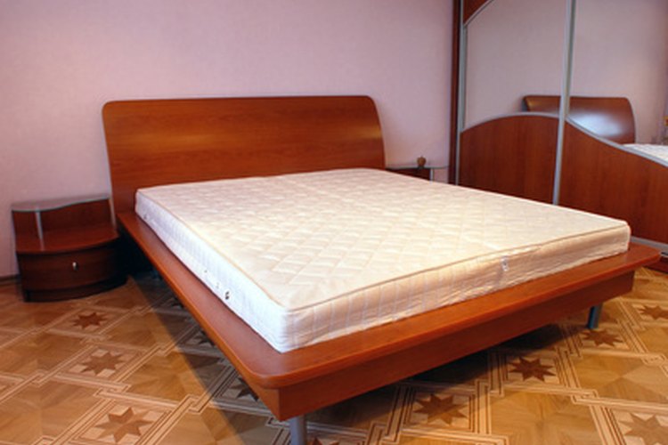 Los insectos de cama representan riesgos para los humanos.
