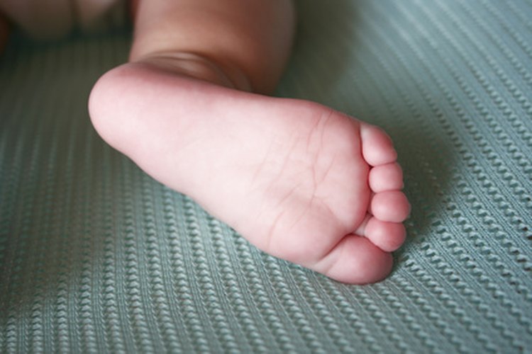 Los 26 huesos del pie proporcionan el andamiaje y la arquitectura para soportar el peso del cuerpo humano.