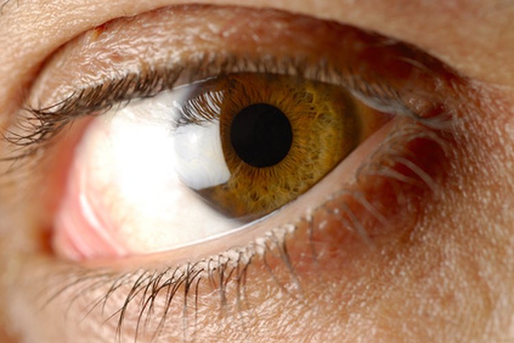 El ojo es un órgano complejo compuesto de muchas partes.