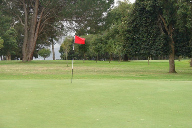 Palo de la bandera de golf.