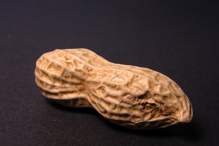 Las nueces pueden protegerte contra las enfermedades del corazón.