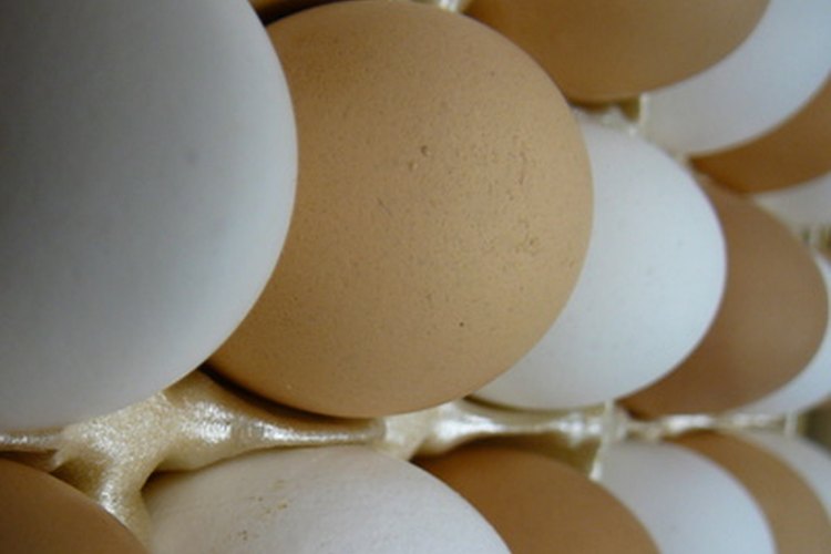 Las características únicas del suero anabólico las distinguen de otras fuentes de proteínas como los huevos.