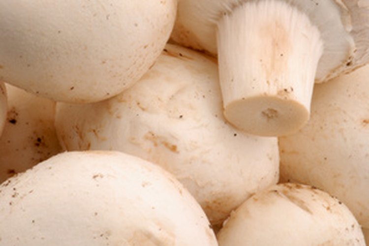 Los champiñones añaden beneficios de salud junto con sabor.