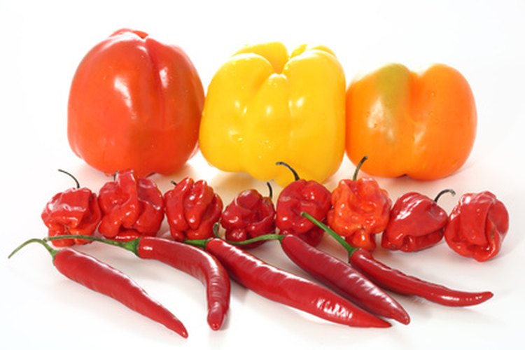 Información de nutrición del chile habanero.