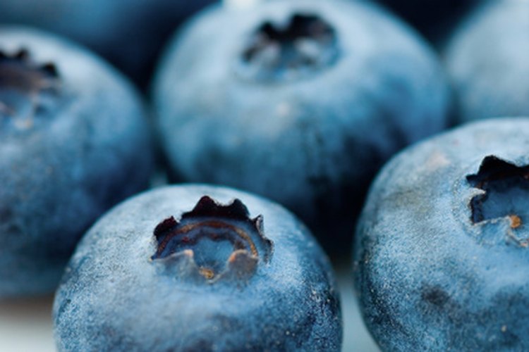Los arándanos frescos o los suplementos de arándanos ofrecen varios beneficios para la salud.