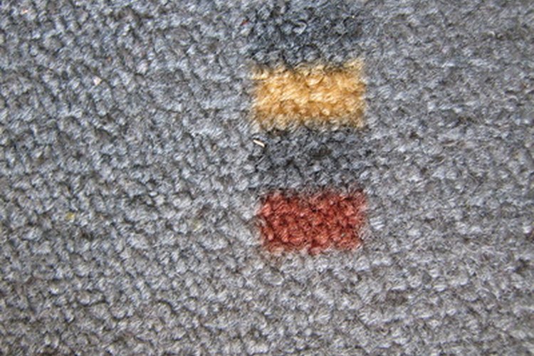 Las alfombras albergan todas las clases de bacterias.