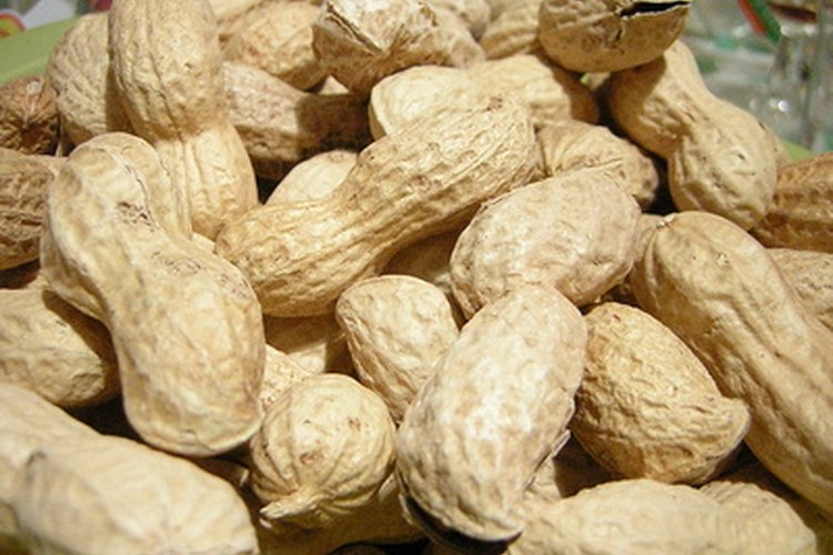 Los aceites derivados de los maní son utilizados en muchos platillos fritos chinos.