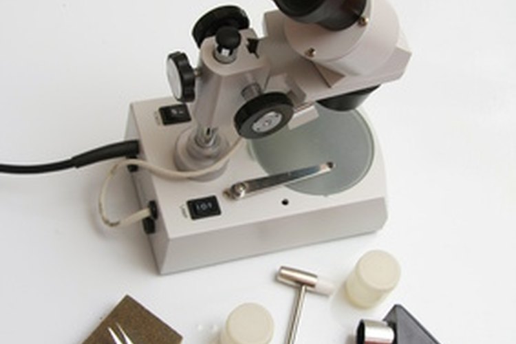 Las infecciones parasitarias son diagnosticadas con la ayuda de un microscopio.