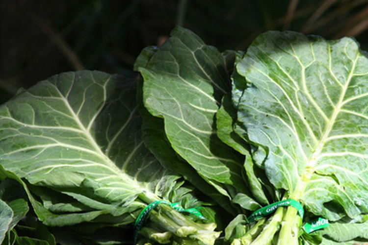 Vigila tu ingesta de vegetales de hojas verdes cuando estés tomando Coumadin.