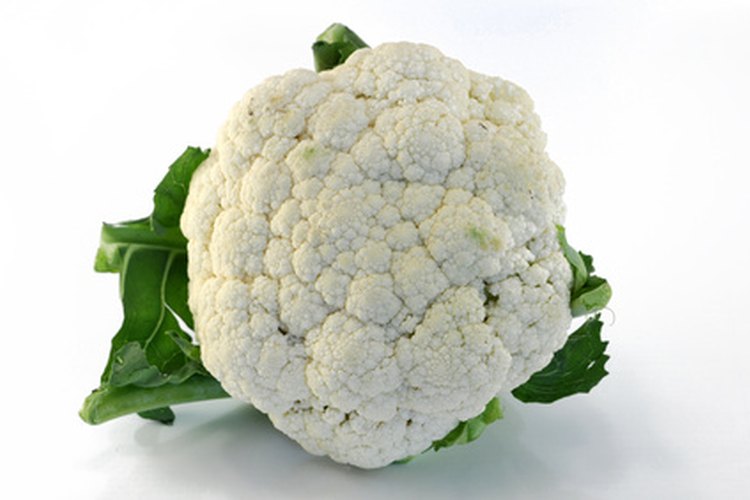 El coliflor es la flor inmadura comestible de la planta de coliflor.