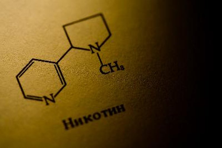 El hidrógeno es un elemento que se encuentra con frencuencia en las moléculas de sistemas biológicos.