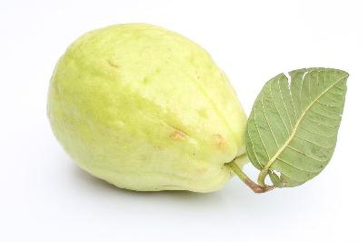 La vitamina C en la guayaba te ayuda a mejorar tu sistema inmunológico.