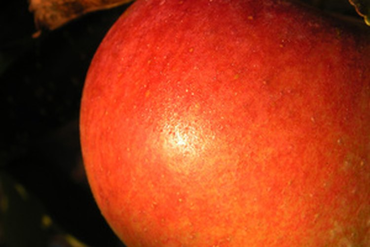 El vinagre de sidra de manzana tiene muchos usos.