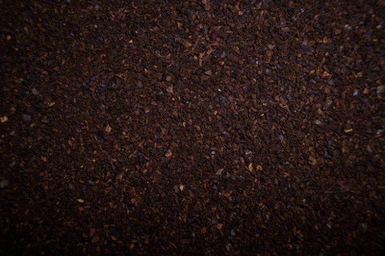 Los exfoliantes corporales de café tienen muchos beneficios para la belleza y la piel.
