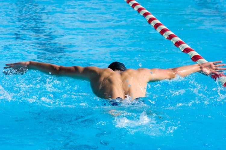 El estilo mariposa es el más nuevo de los cuatro movimientos de la natación competitiva.
