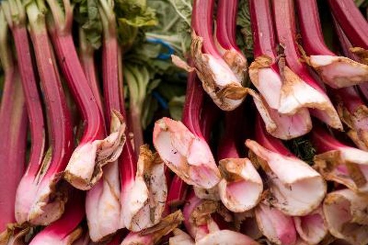 El ruibarbo no es sólo para preparar una tarta, también es un suplemento medicinal.