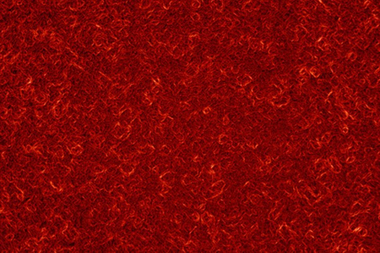 Red de vasos sanguíneos.