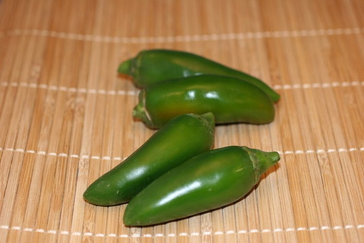 El chile verde es un ingrediente nutritivo de la dieta en la India y en Sur América.