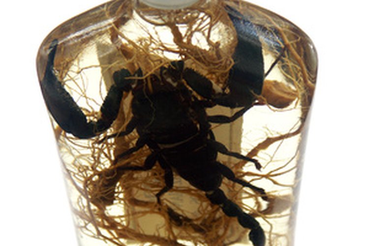 El ginseng coreano es la variedad más potente.