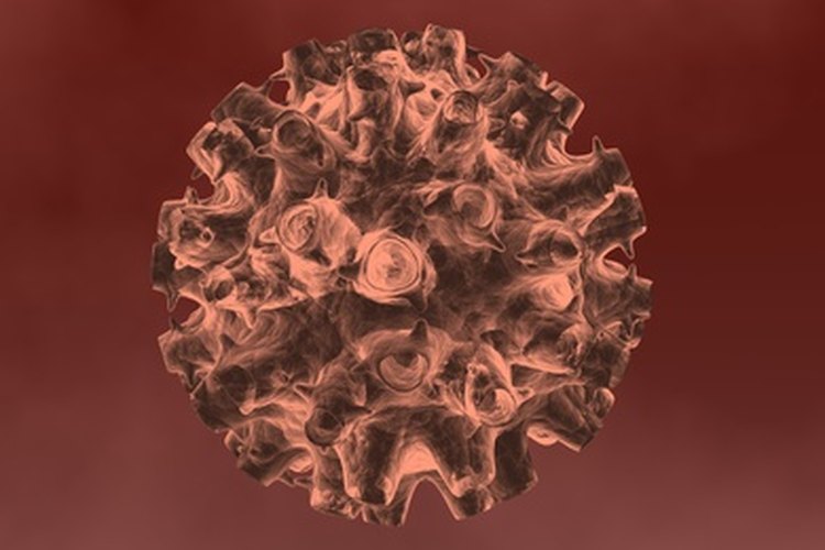 La varicela es causada por el virus varicela-zoster.