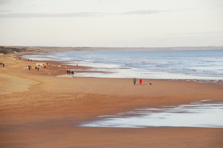 Los juegos organizados proporcionan entretenimiento para un día en la playa.