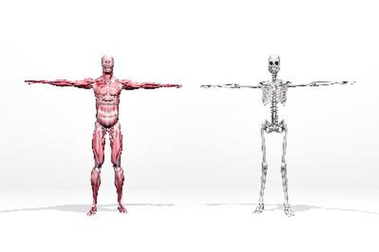 El diclofenaco, eficaz en el tratamiento de patologías músculo-esqueléticas.